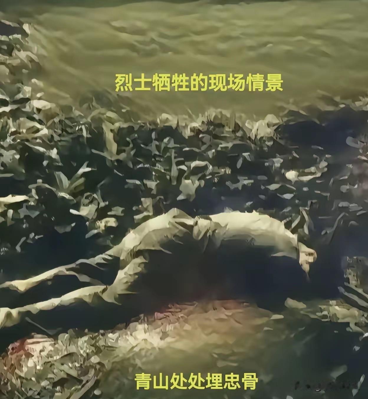 反而寻找机会将功补过，机会果然来了，当他得知连队将要抽调精悍骨干组建突击队时，主