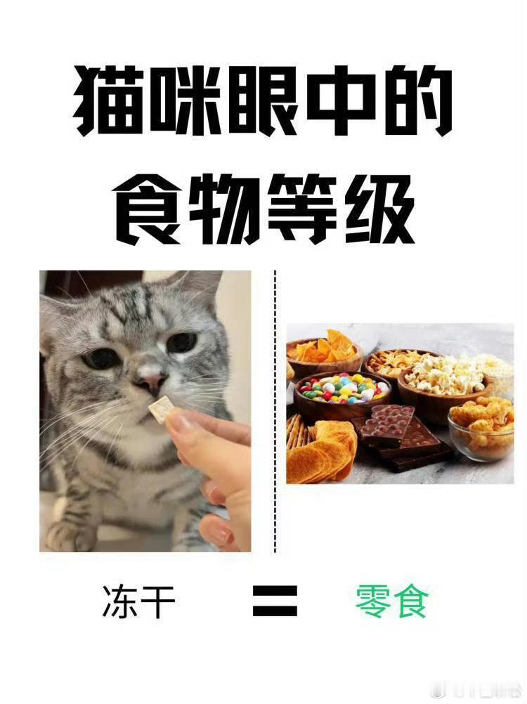 猫咪眼中的食物等级，到底有多离谱。猫粮只是快餐，桌上的菜才是追求1元钱在京东能给