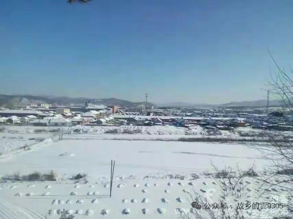 与痛风斗争的历程158
 
   今天是初六，凌晨先是落雨，后来又飘起了雪。早上