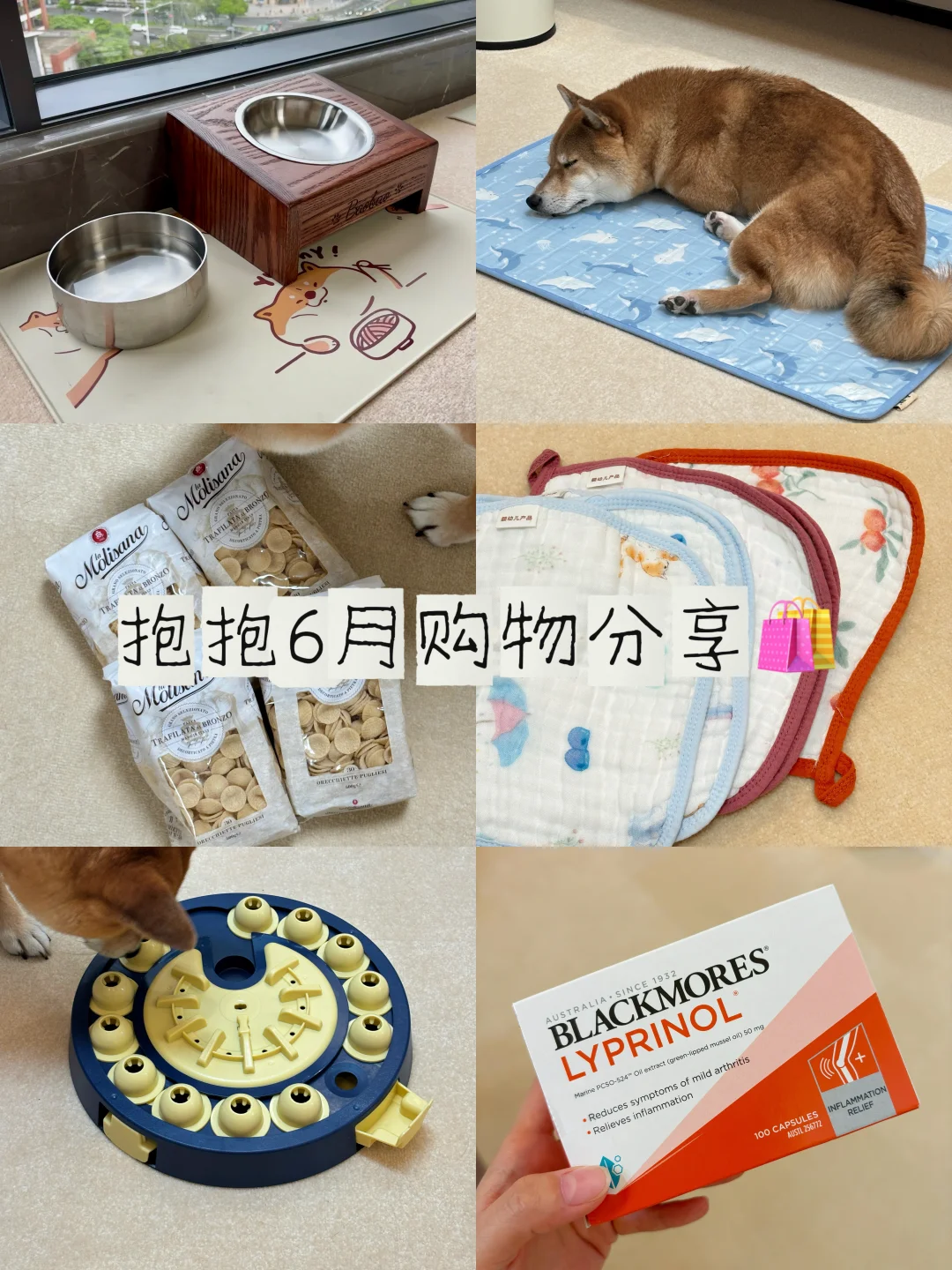 6月给小狗买了啥🛒购物分享