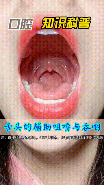 舌头作为口腔内核心的运动器官，其辅助咀嚼与吞咽的功能通过精准且灵活的动作得以充分