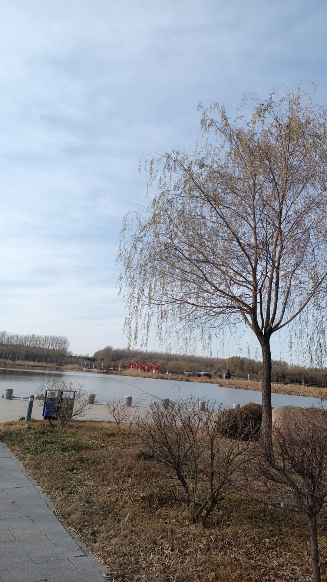 这就是瓢瓢的命啊，我相信命运的安排，该着他就是吃这碗饭的。到啥时你必须得记住这句