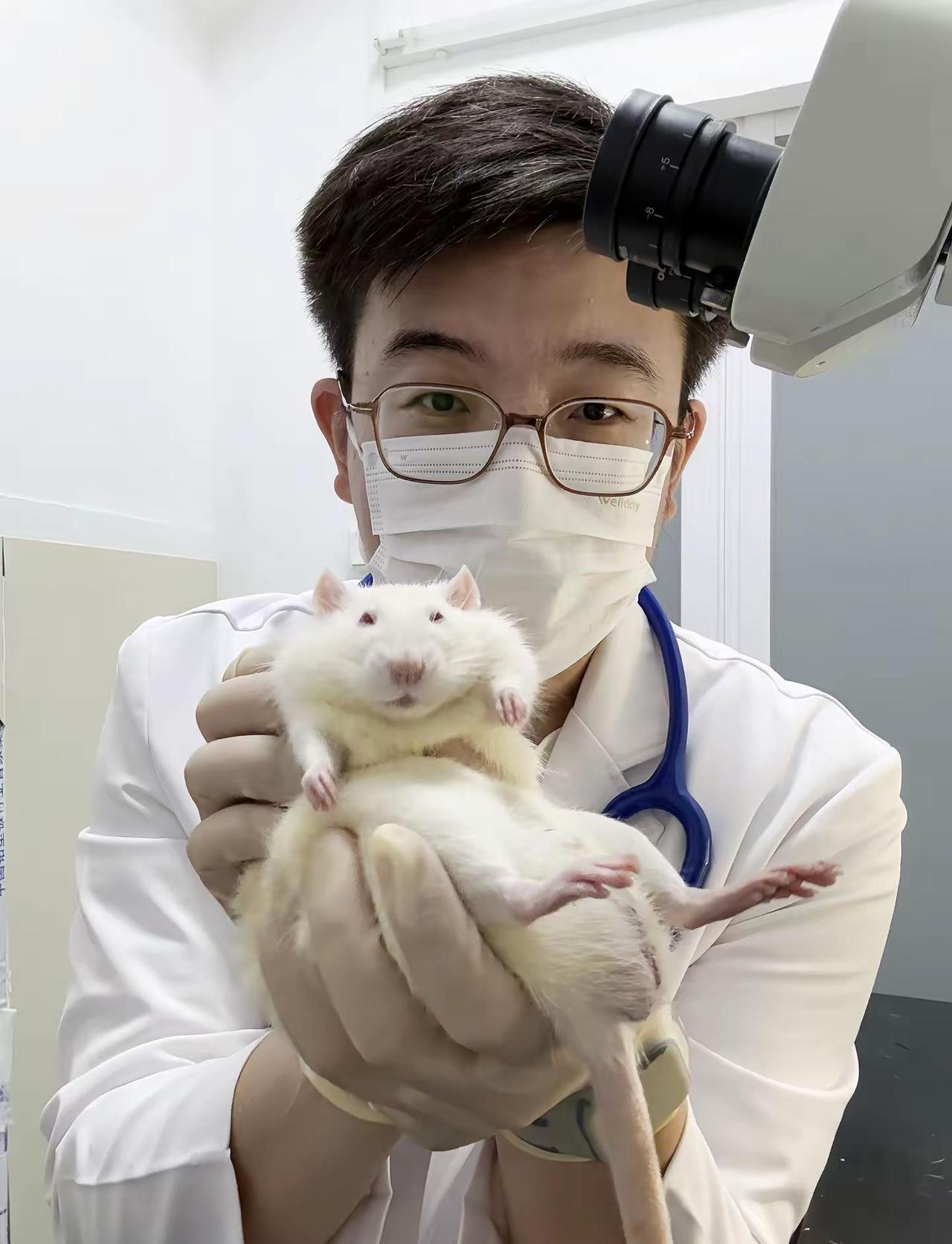 夏季养花枝鼠必看｜保命小贴士 1.适宜温度20-26℃，高于30℃极易中暑2.撤