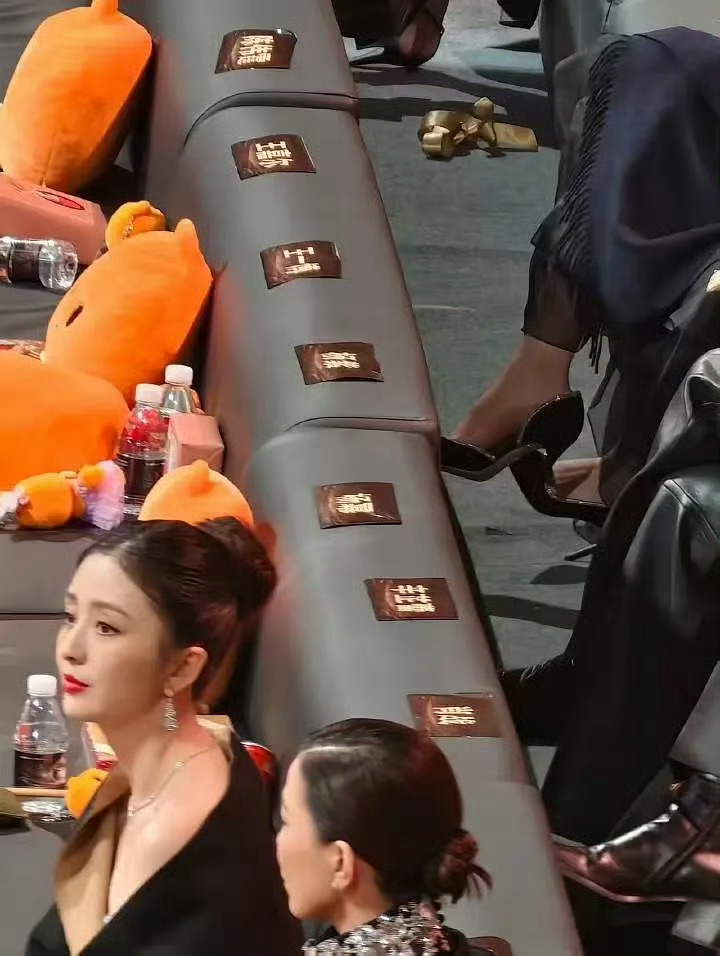 微博之夜内场这下辛芷蕾C位还要争吗？辛芷蕾粉丝都没下场根本不在意~ 