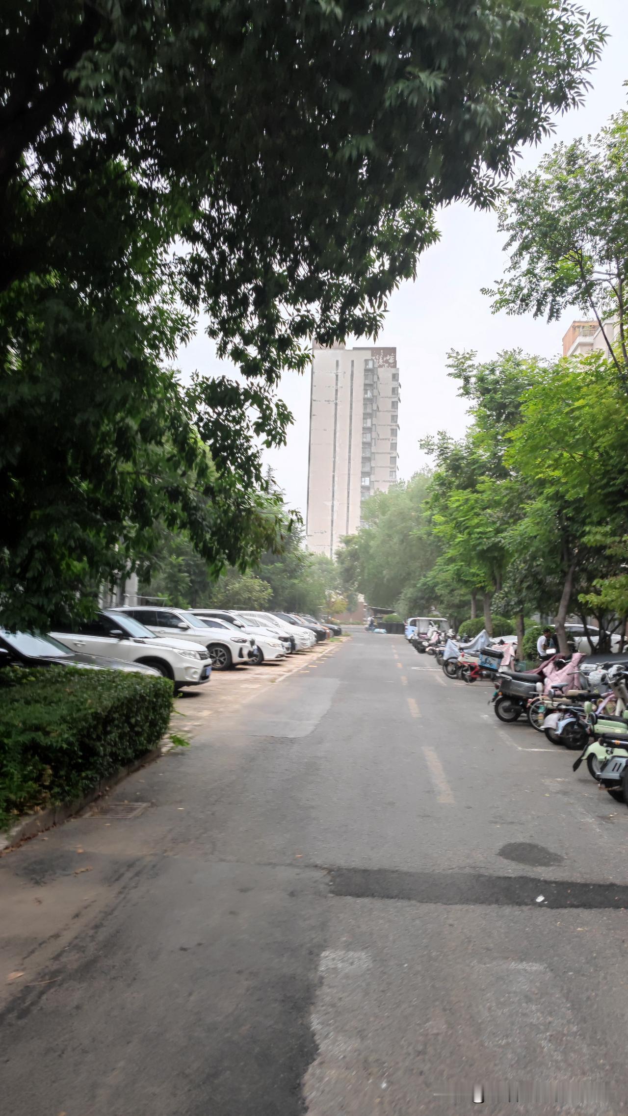 6:30的小区里静悄悄的，在单元门口发现了一棵石榴树，上面还有不少石榴呢！
