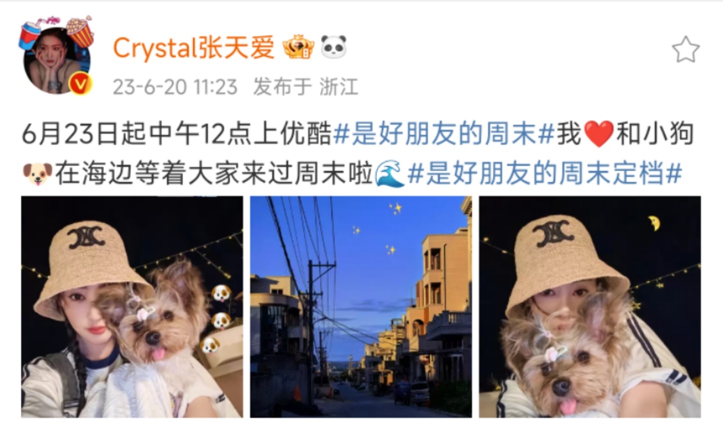 #张天爱抱狗自拍#此时多少有点羡慕如此可爱的狗狗，原来还被刘恋、于文文、张俪和赵