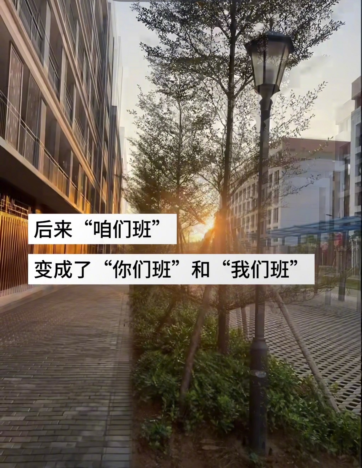 “我们的距离再也不是两个班而是两所学校” ​​​