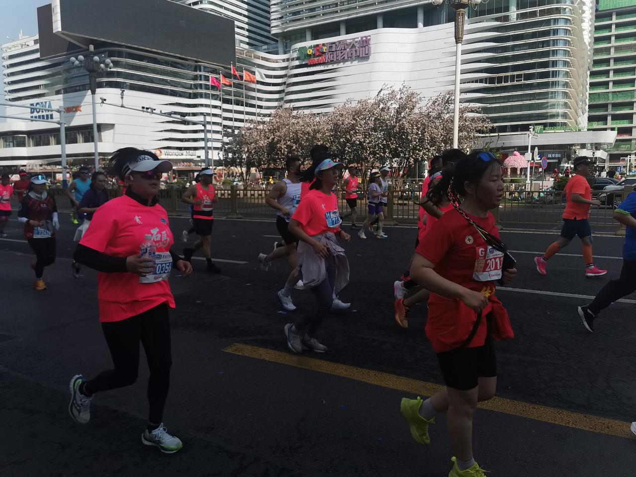 昨天的石马，火爆热烈，有3.5万人抽签参加，一下子就让石家庄火爆起来，如同这春天