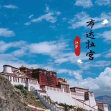 杨斌爱玩影视剧