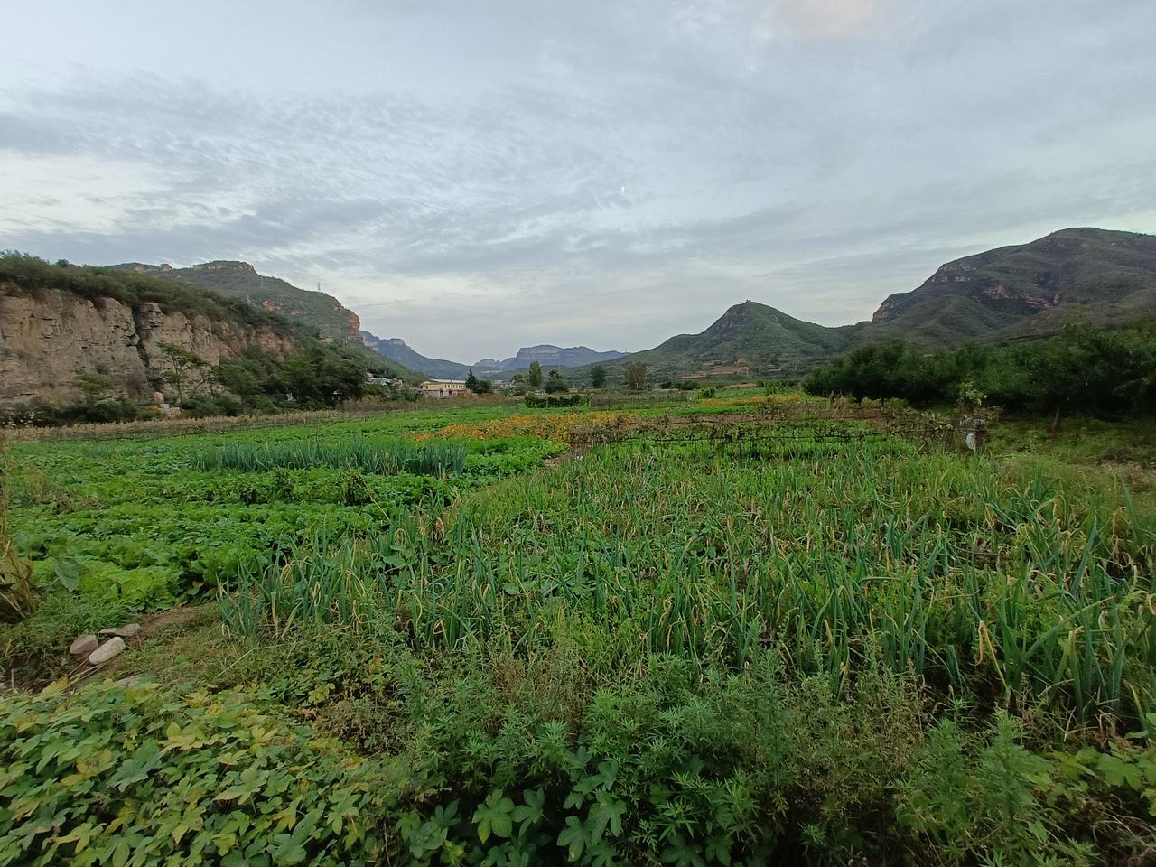 所知，所望，所想，皆能如愿。
所看，所处，所及，皆是幸福。
路上有灯，下雨有伞，