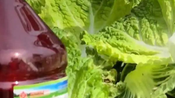 餐桌上步步失守：当平价家常菜，也开始让人心里打鼓
 
一句扎心的话引人深思：如果
