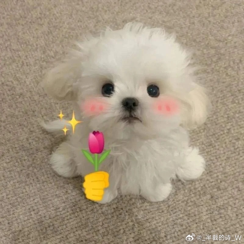 这就是我目前的消费观 不盲目跟风，只买真正需要的～贵的不一定好，平价也有宝藏，花