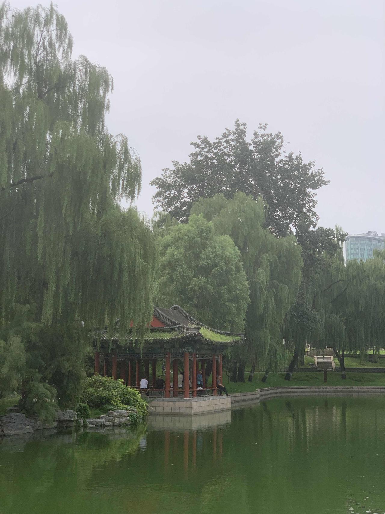 夏日随手一拍，皆是美好。湄潭桃花江是个好地方，它在湄潭县城西郊 5 公里处，交通