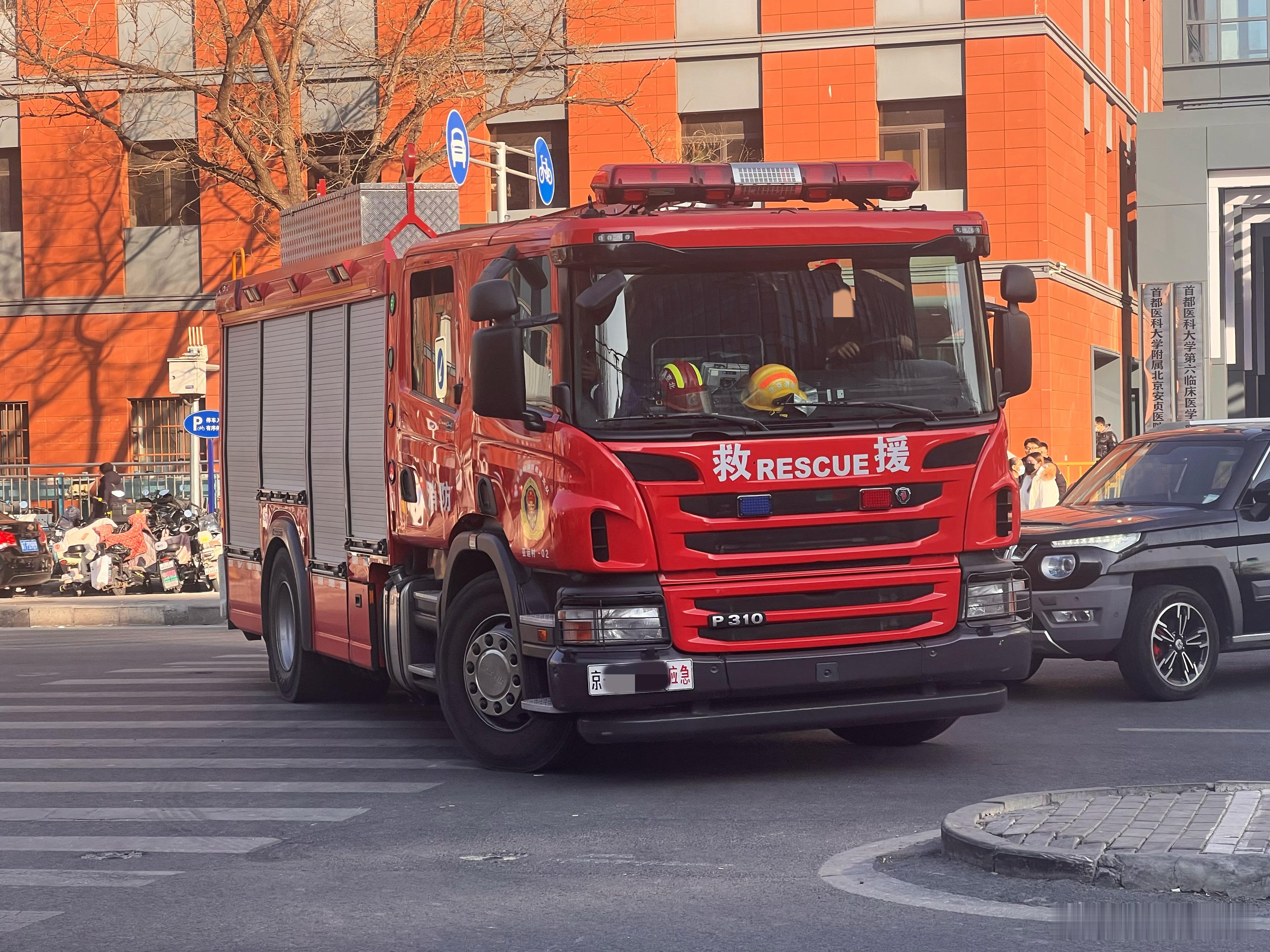 酷酷的大火鸡！ 北京