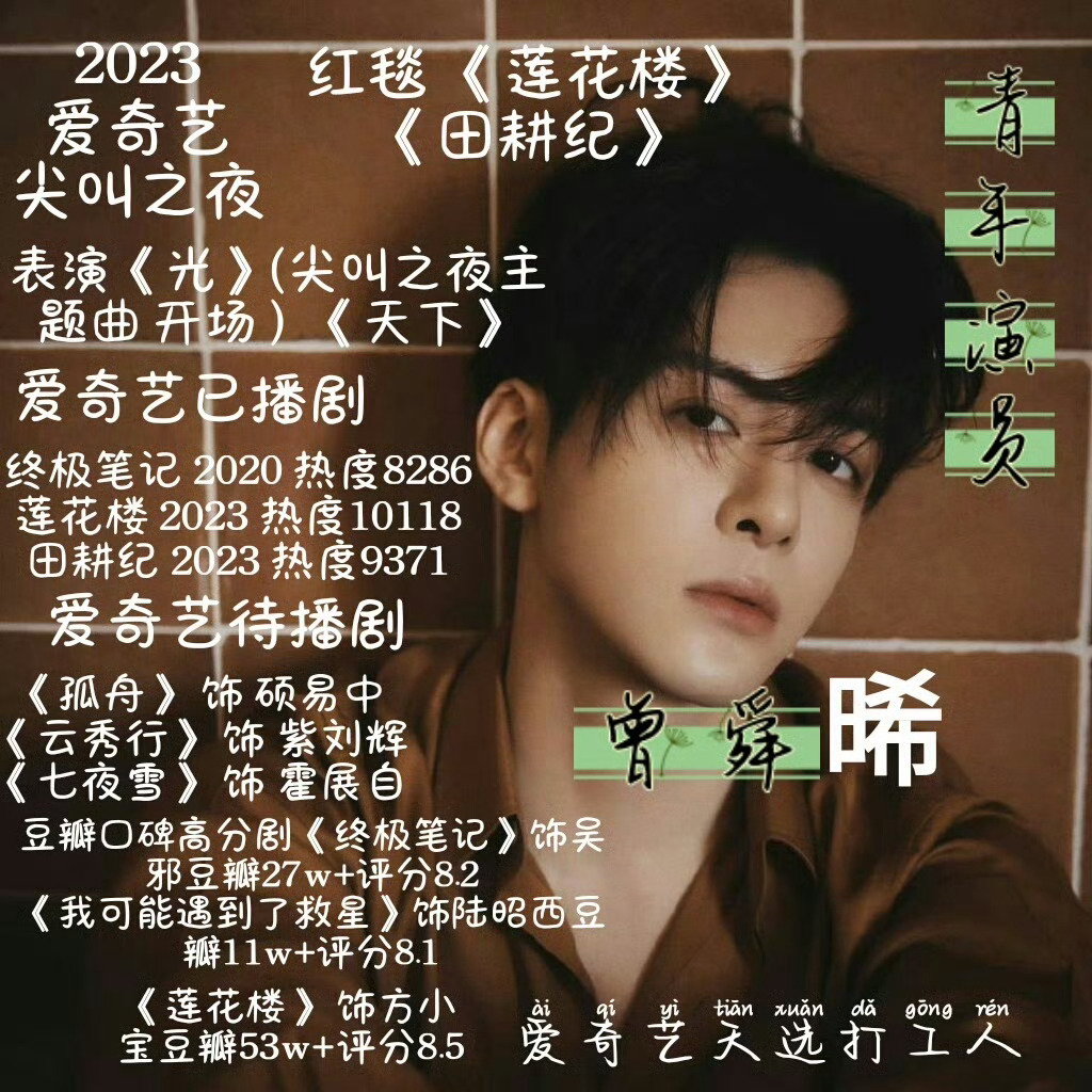 携两部作品《莲花楼》和《田耕纪》参加爱奇艺尖叫之夜，总共走了2轮红毯，获得4个荣