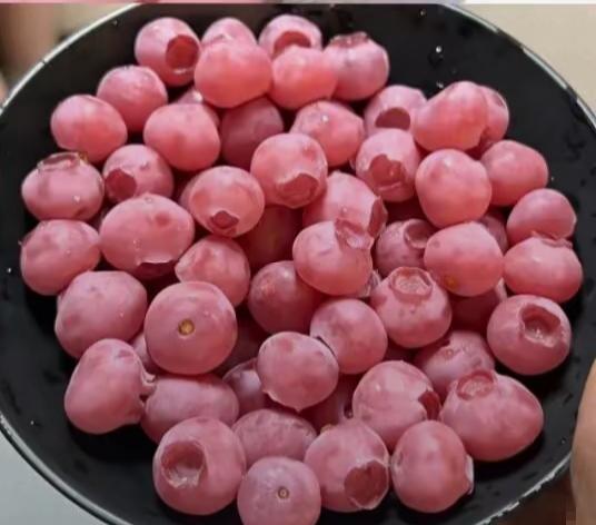 400元1斤的粉色蓝莓你敢吃吗？
