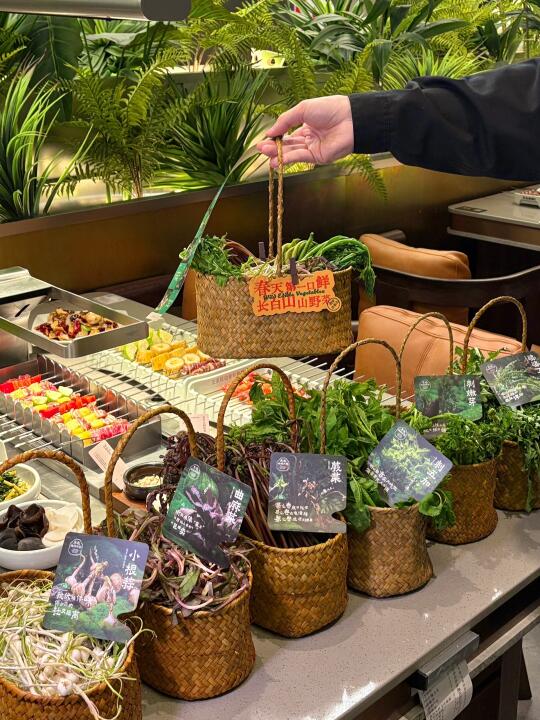东北人吃得真好，一站式尝到原生态山里菜！！