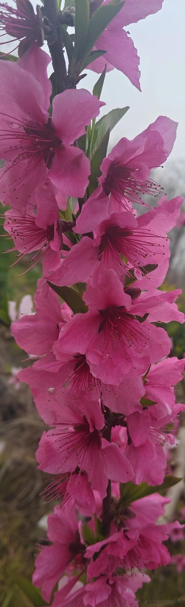 人要学会目送他人走弯路，而自己不惊不乍，这是维系感情的好方法。

面对别人走弯路