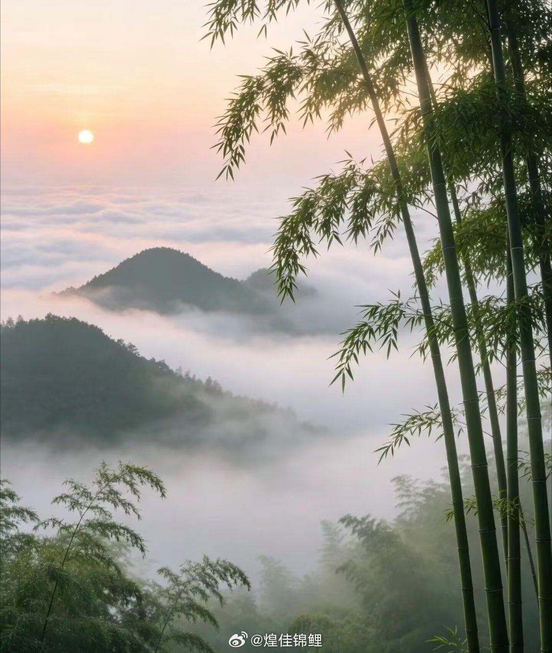 通透人生的句子，句句说出真谛1.对了就庆祝 错了就进步2.我就是我，至于你怎么看