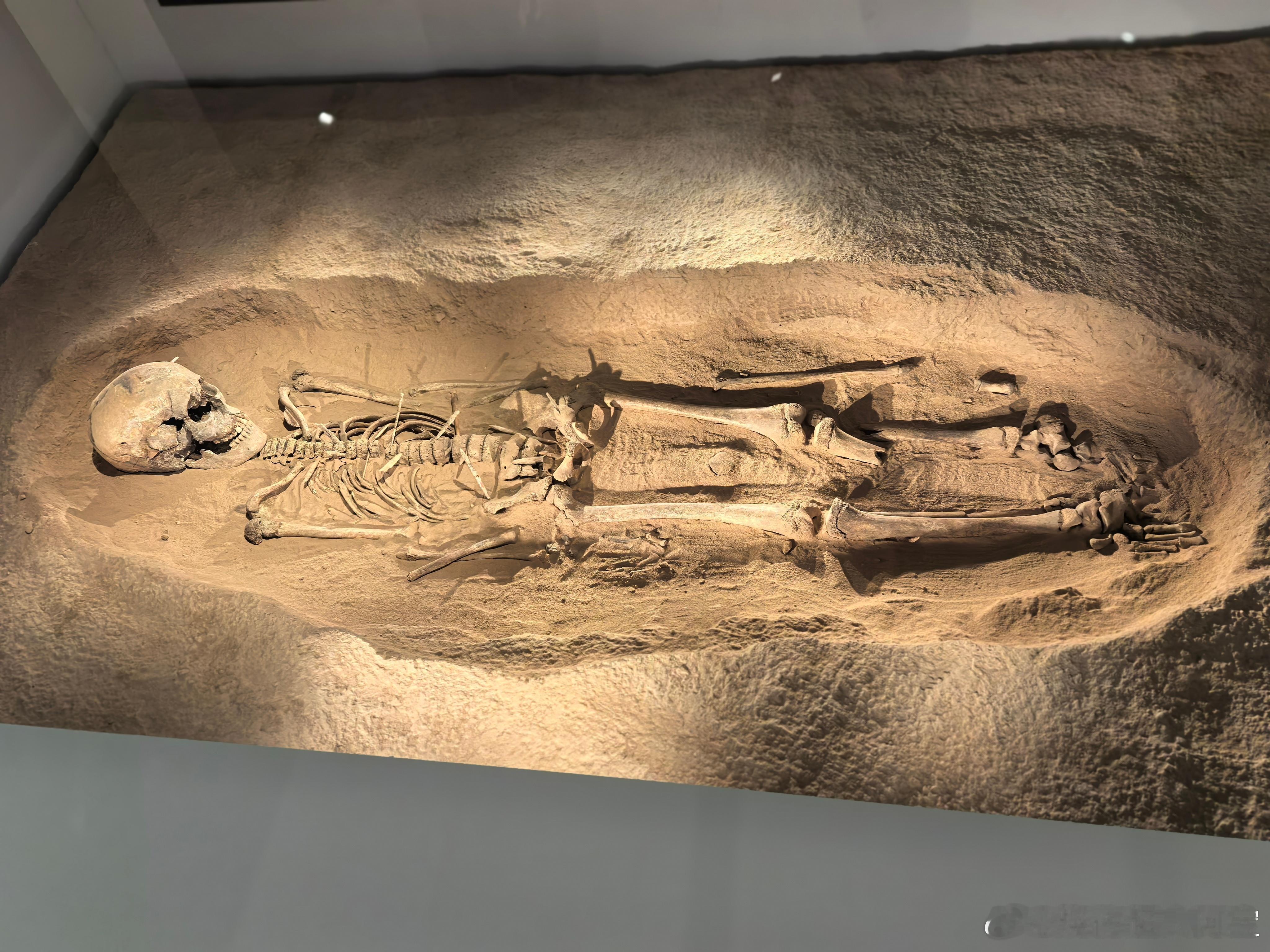 陕西考古博物馆里面，最虐心的展品就是7000年前新石器时代的“零口少女”遗骸。“