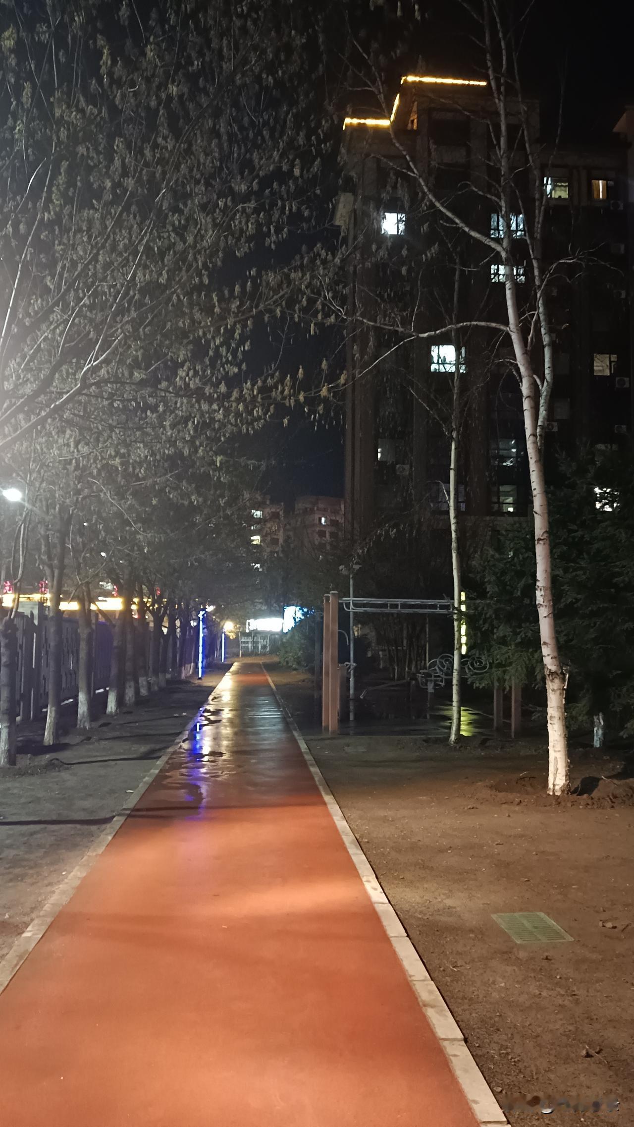 美丽的夜色多么沉静