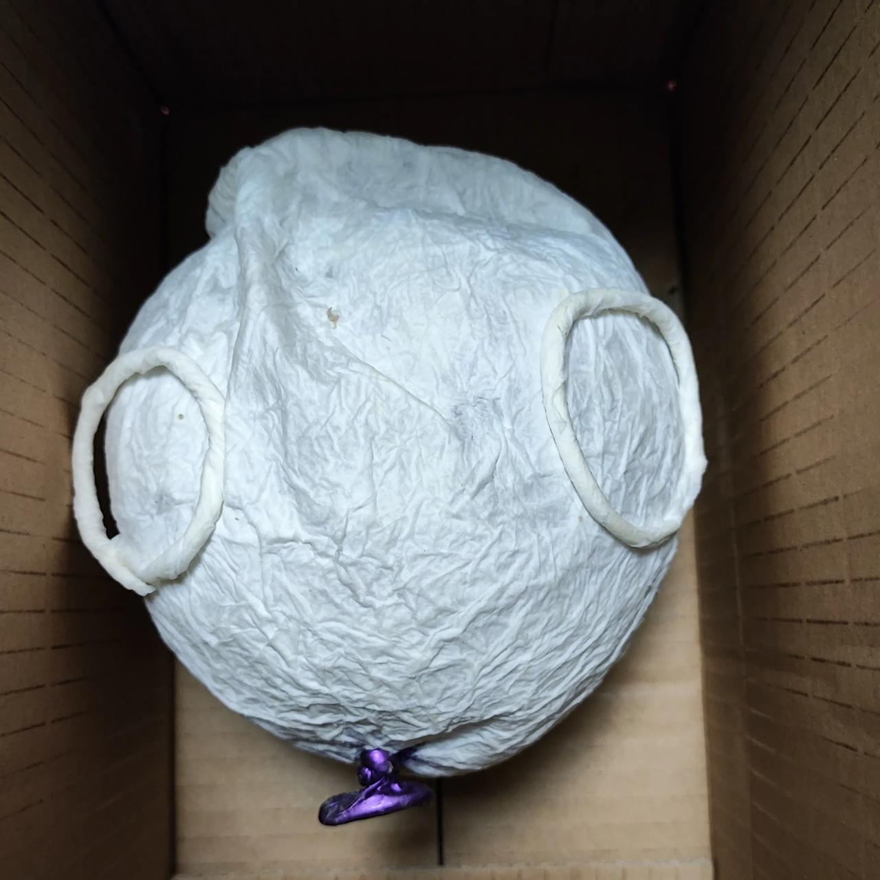 老公的快递盒里装了什么秘密，被老婆发现，吓得老婆心惊胆战……

这两天在收拾清理