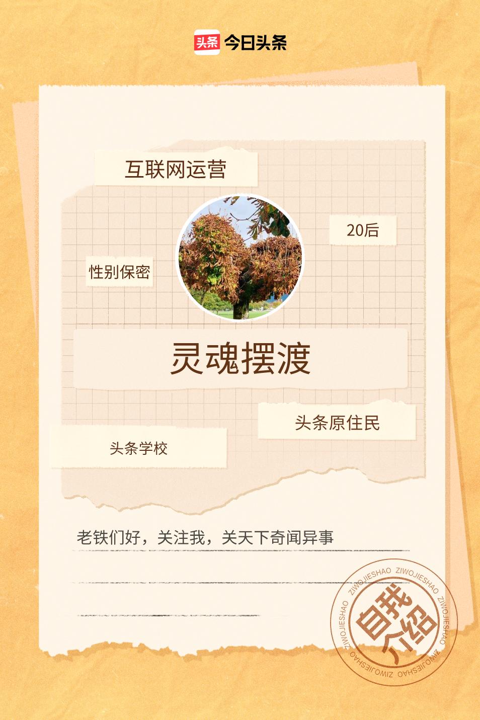 “我们一起上头条”这口号太酷啦！每个人都有自己的故事，头条就是个能让故事发光的舞