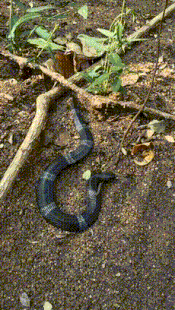 上帝约束我
一秒只能动一下