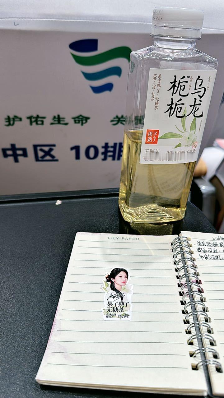 一场枯燥的会议怎么能少了栀栀乌龙的陪伴 