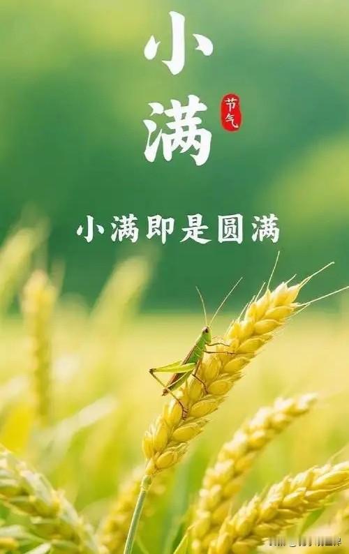 小满节气后高温多雨、闷热潮湿，吃什么食物对养生有益？
       小满为二十四