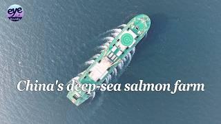 航行于全球大洋的大型移动实验室，中国移动蛋白工厂——海上巨舰“苏海1号”！

中