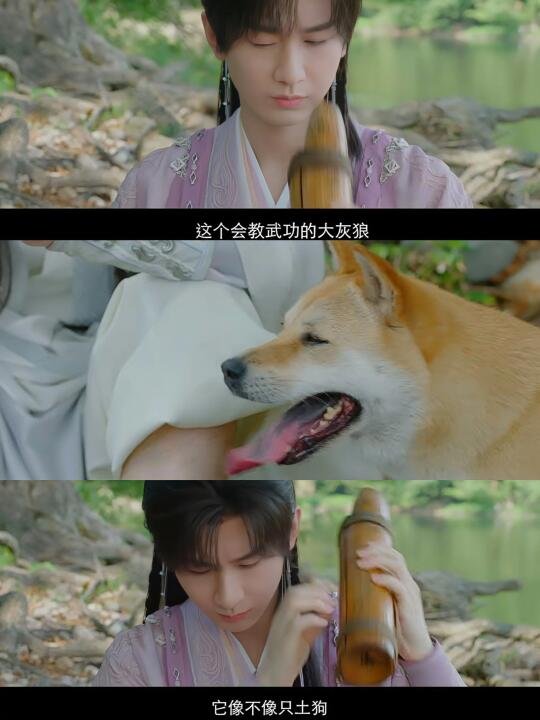 再一次被成毅拿下！！！又帅又呆演技一级！！！