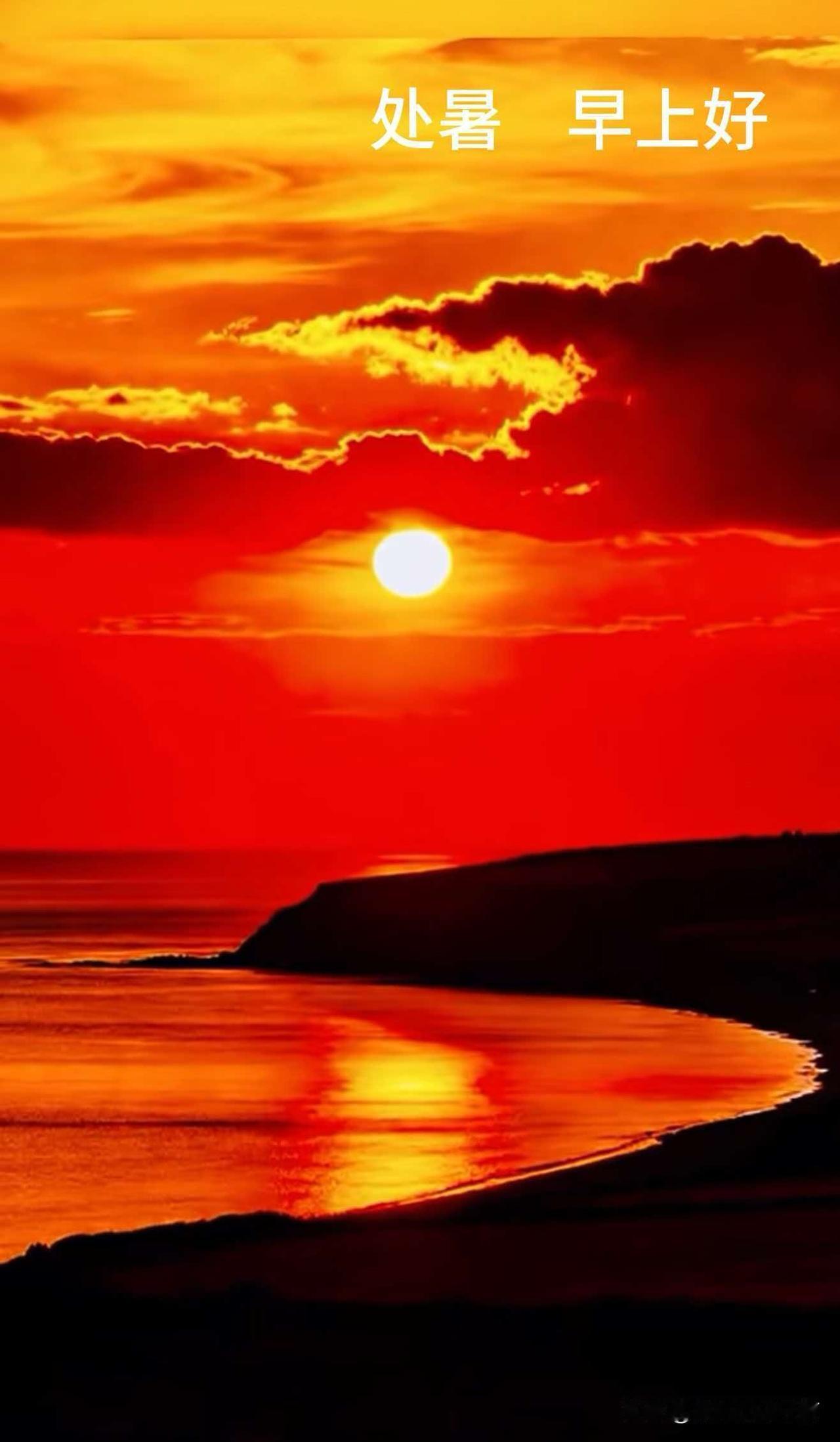 处暑早安🌅
暑气渐消，秋风将至。
告别盛夏的燥热，愿日子安稳从容，
愿你平安顺