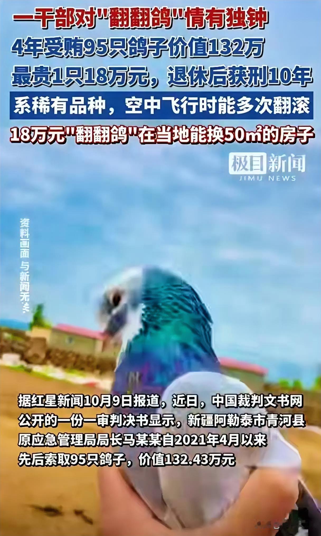 惊爆！一局长痴迷收养“翻翻鸽”，结果自己翻车了

      新疆原局长马某某痴