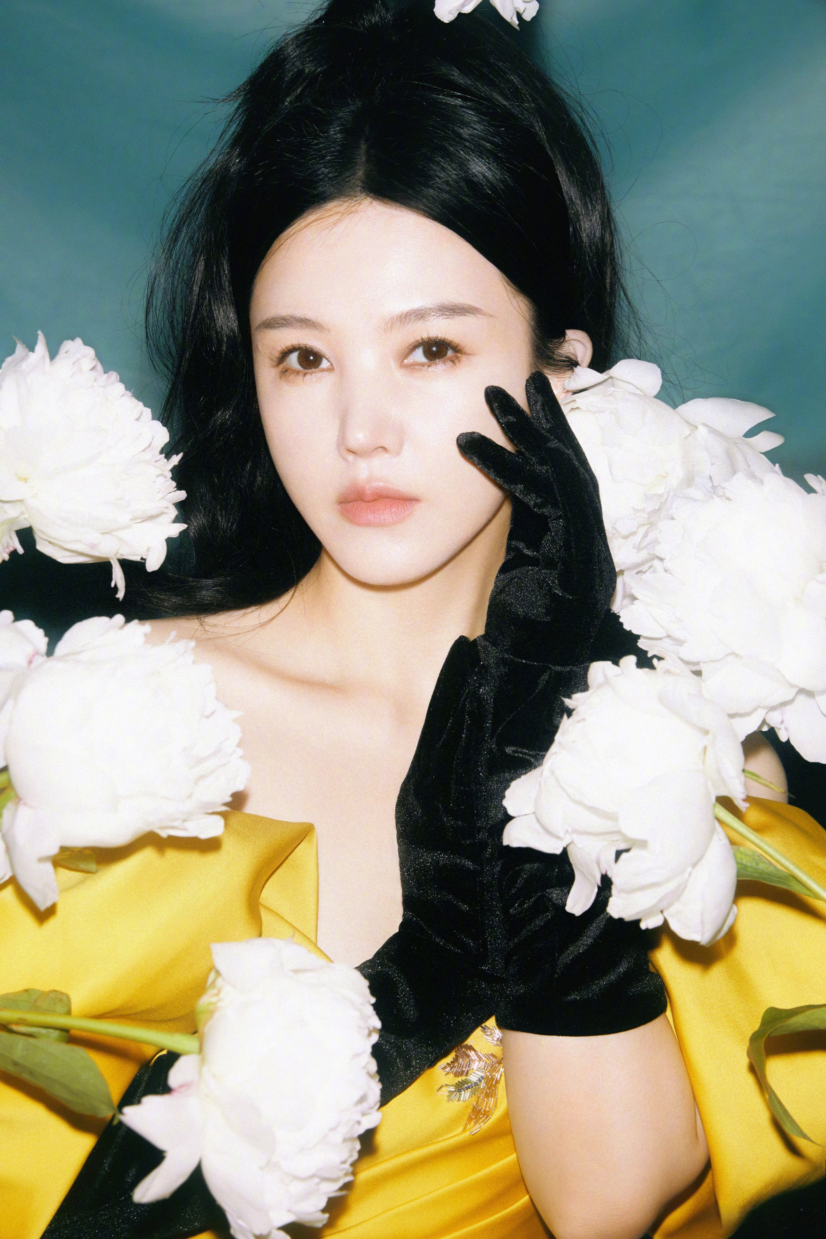 杨子姗 ​​​