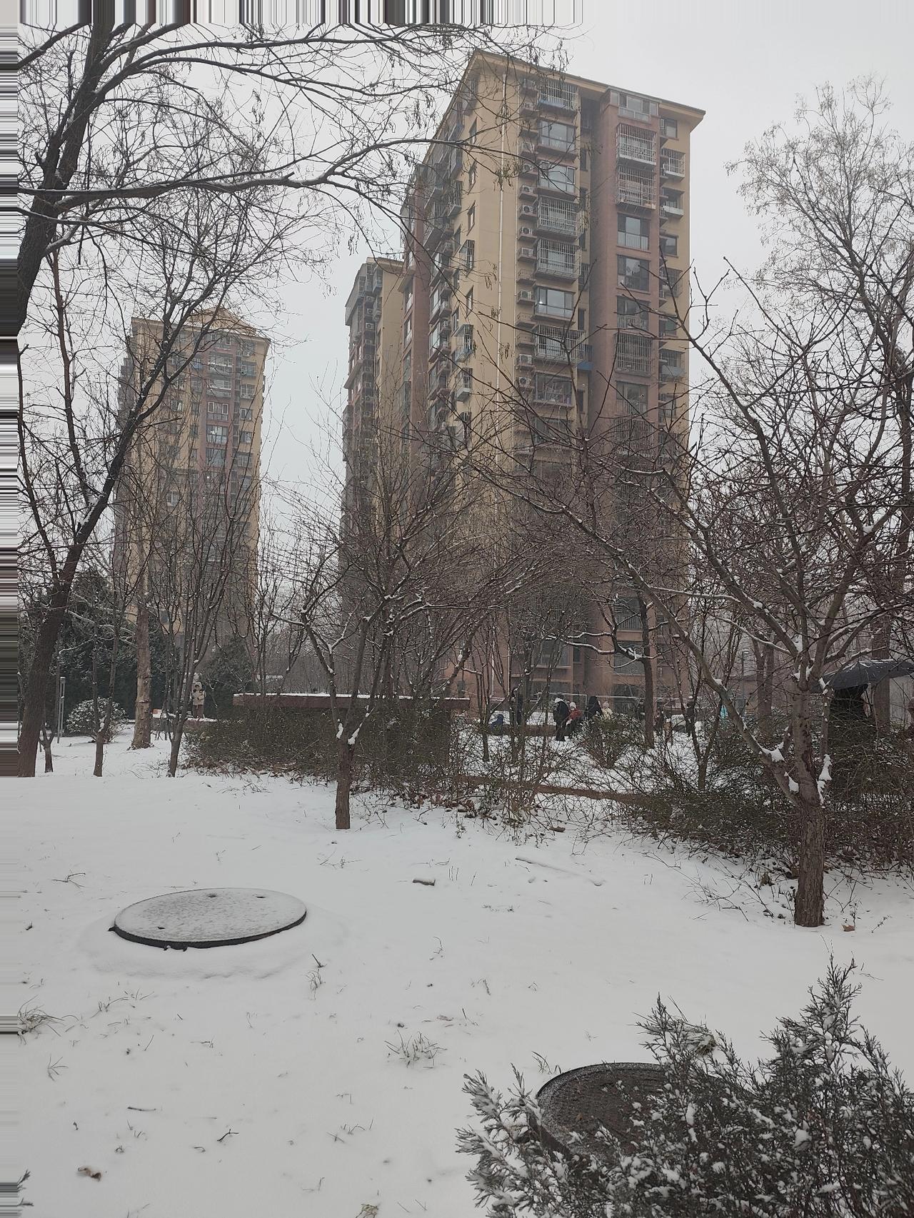 北京大雪刷屏！瑞雪兆丰年，平安更值钱
 
美翻了！北京这场大雪如约而至，银装素裹