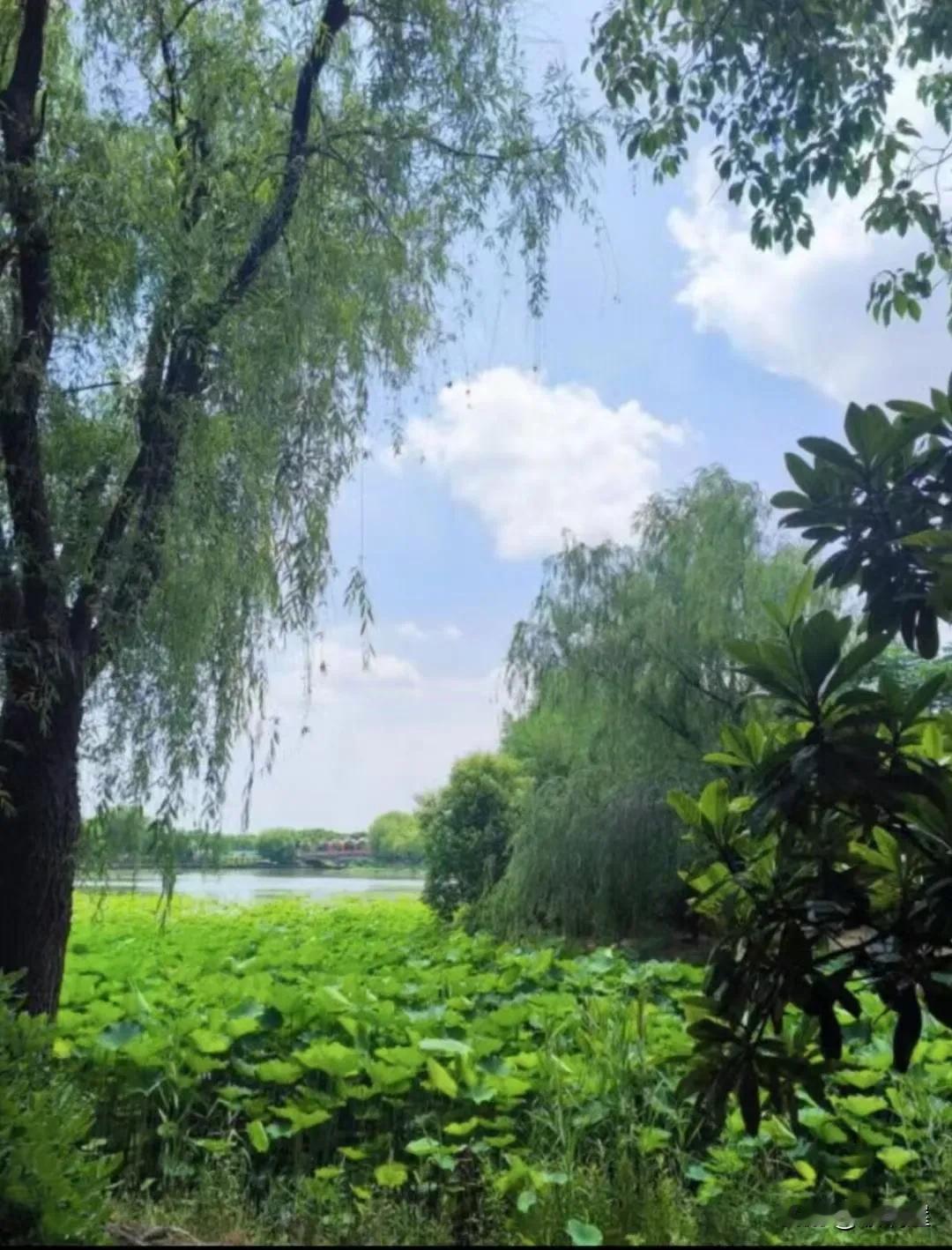 昨天晚上下好大好大的雨，差不多是11:00的时候，我听到我家孩子在客厅说话，他刚