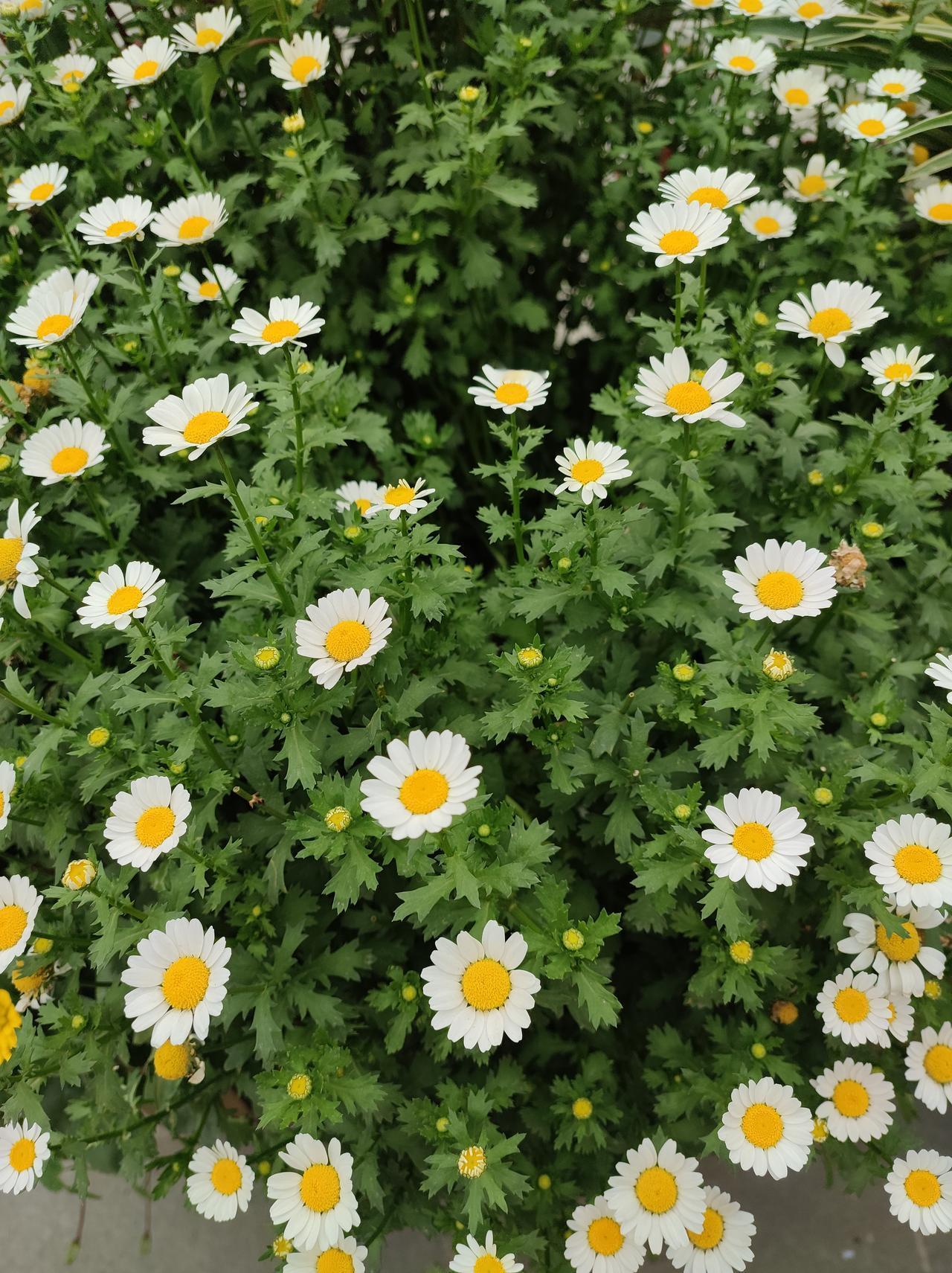 ＃＃与你有关，皆是浪漫＃＃

在这个纷繁复杂的世界里，浪漫似乎变得越来越稀缺，却