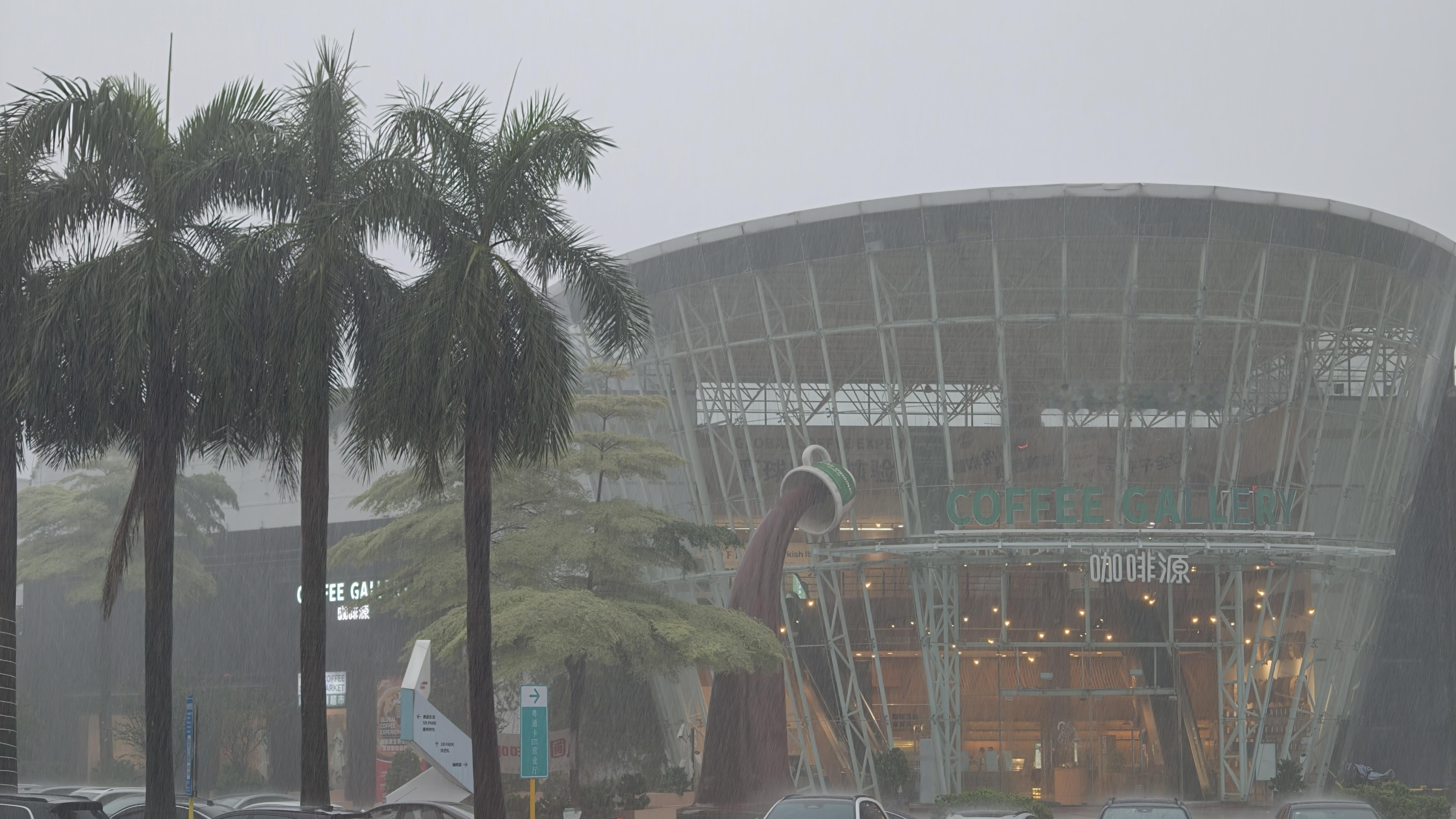 大雨到拍照都具象化了[裂开]下班前应该能够停雨吧？ ​​​