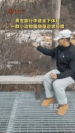 人与动物和谐相处的典范，就应该是这个样子，这个男子挥一挥手，松鼠就跑了过来，一直