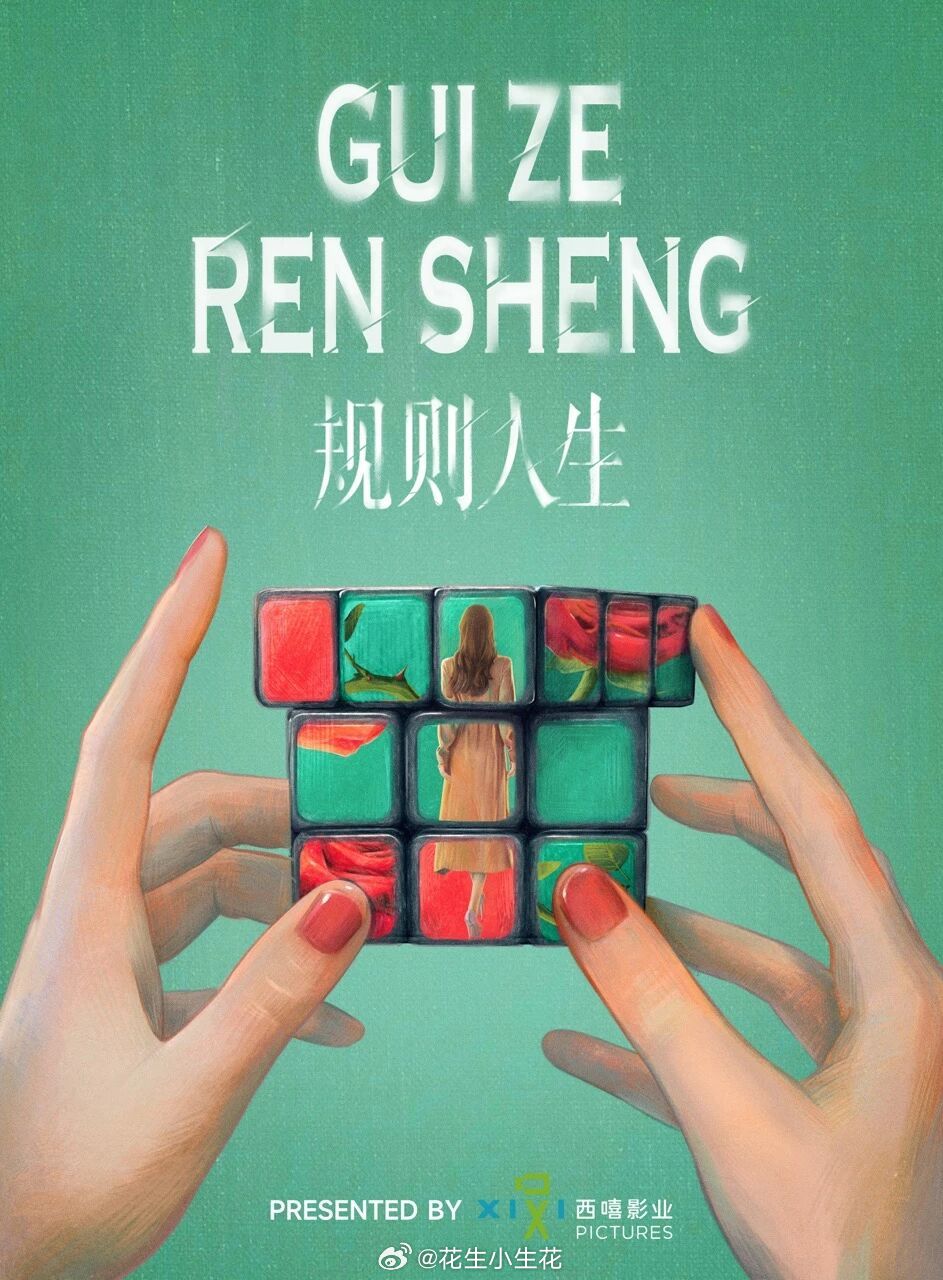 电视剧《规则人生》出品：西嘻影业原著：滕肖澜艺术总监：杨晓培规则人生电视剧规则人