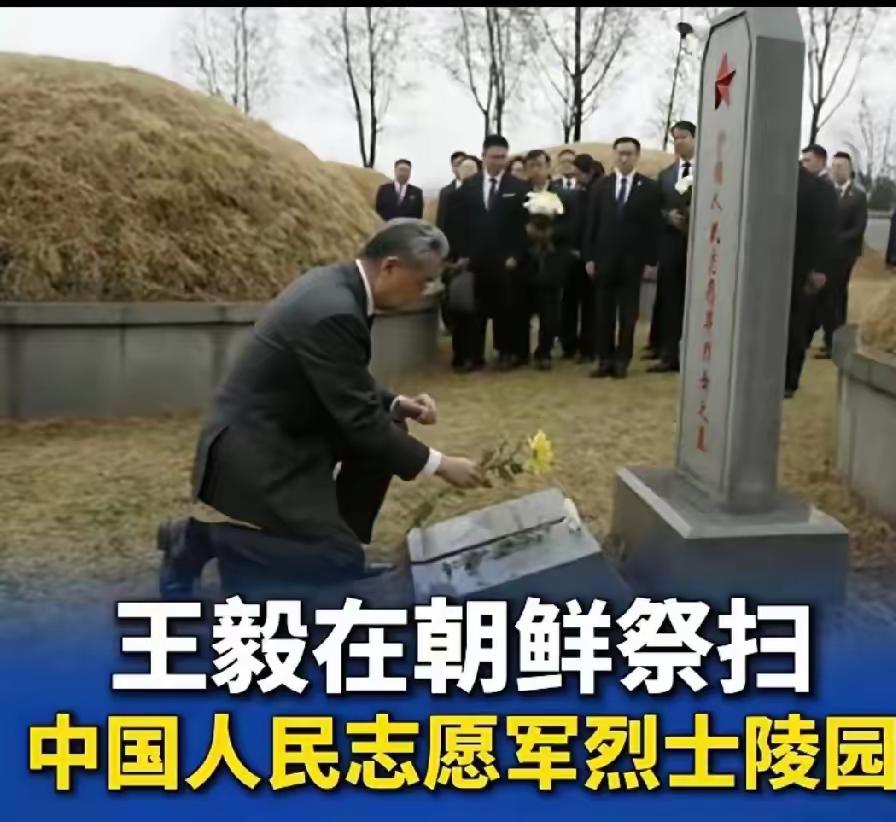 外长单膝这一跪，让多少人泪目？异国他乡埋忠骨，英雄不能忘记！

一个国家的尊严，