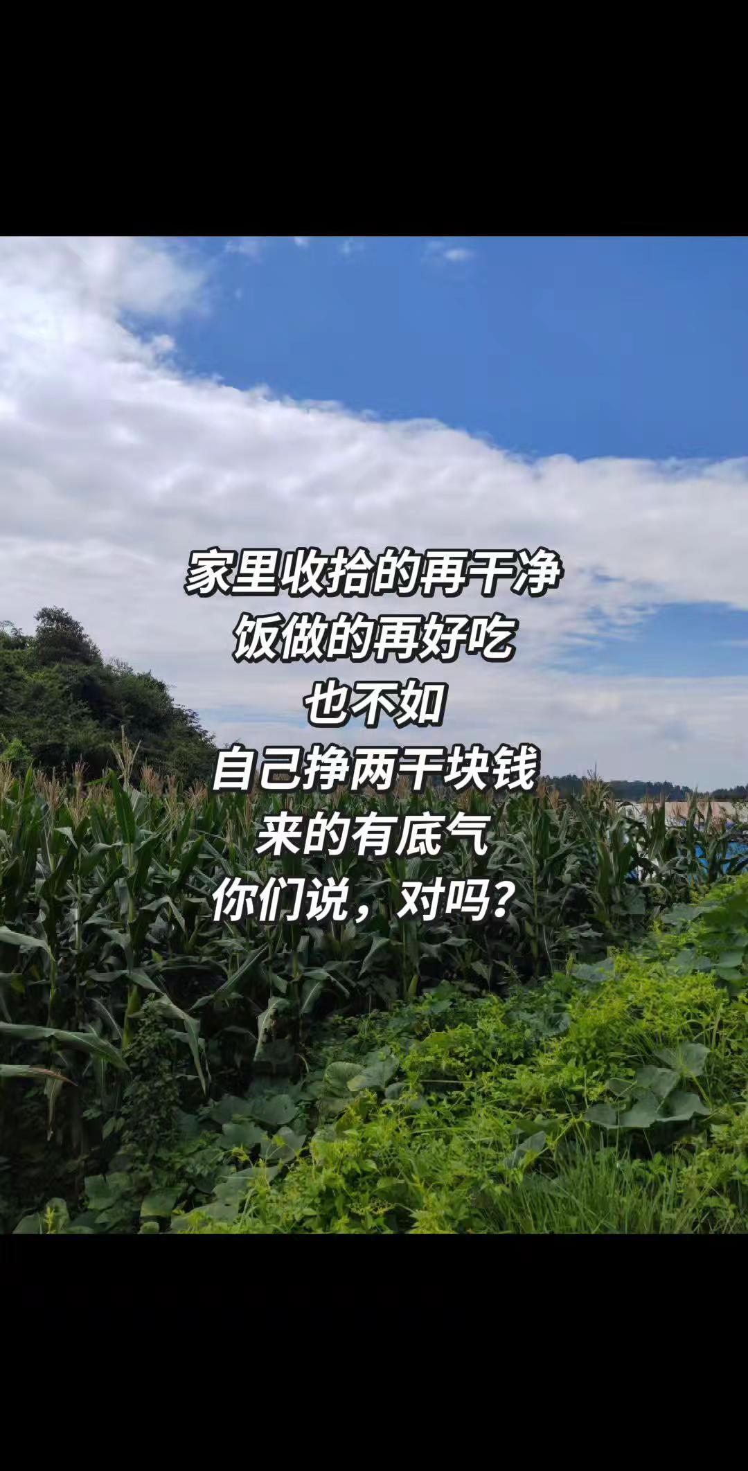 女人最硬的底牌从来不是婚姻。而是独立的自己。对吗？没有一朵花从一开始就是花 三农