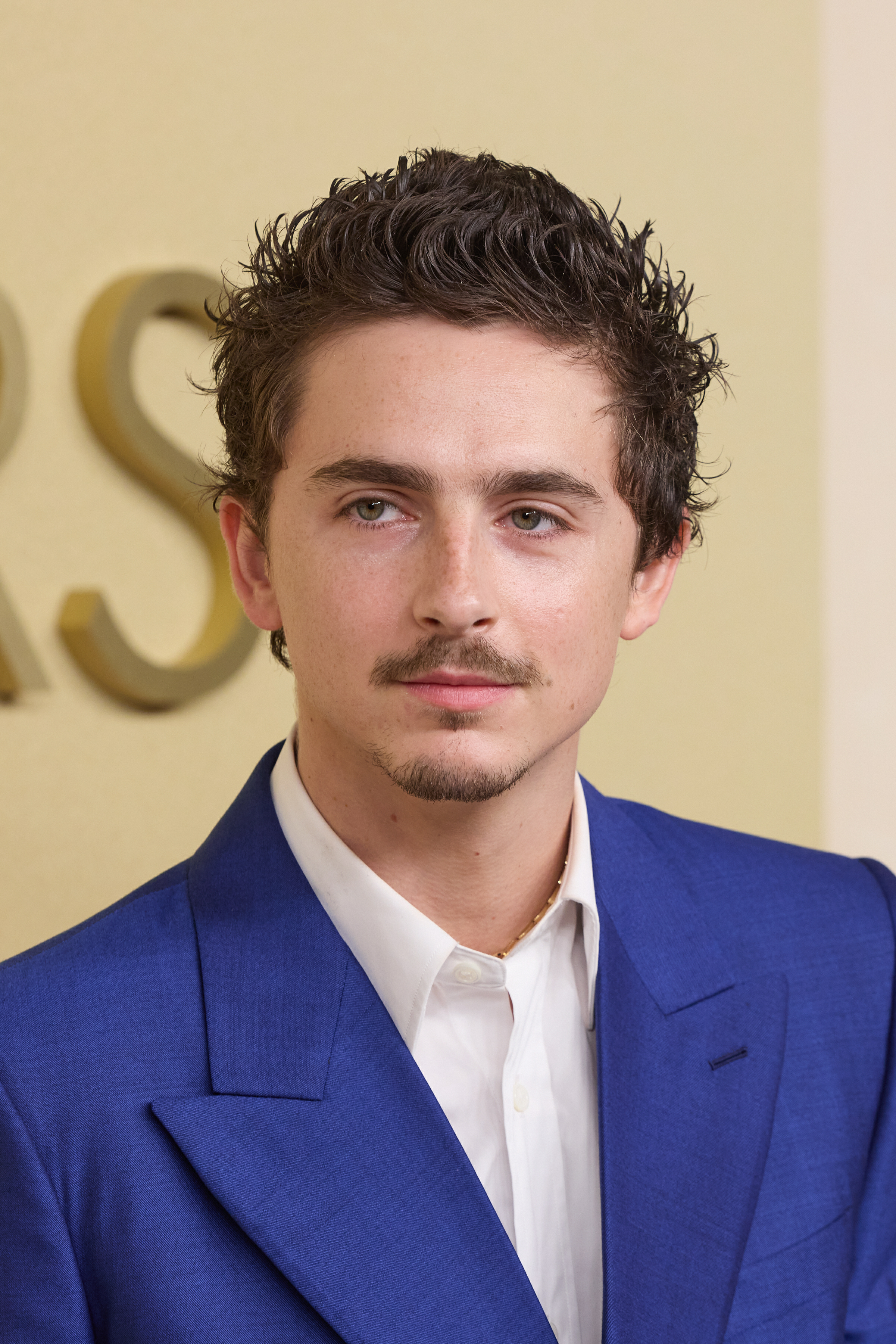 甜茶Timothée Chalamet帅气亮相第98届奥斯卡提名午宴！期待今年