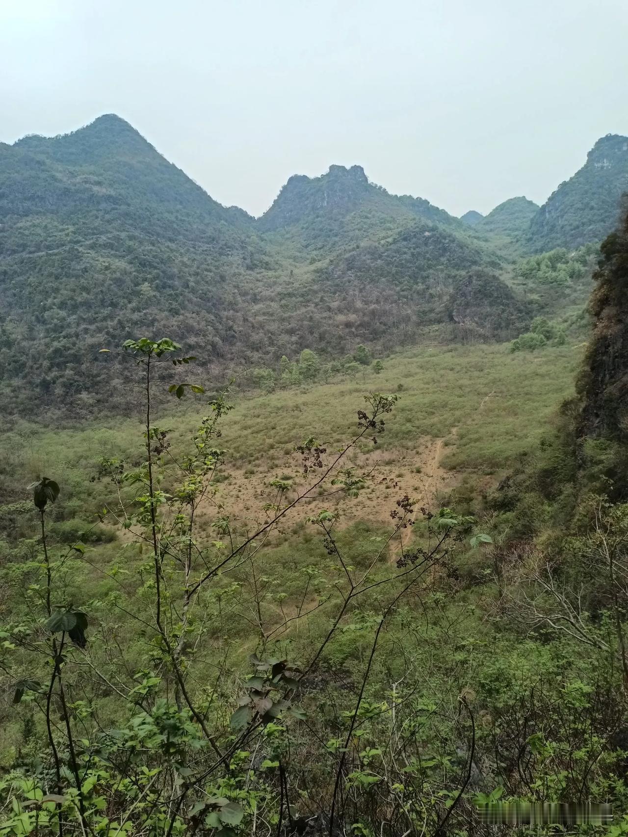 春天了，你会带孩子去哪里踏青登踏山林⛰️空气清新