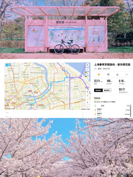 公园里的樱花道～高东樱花园