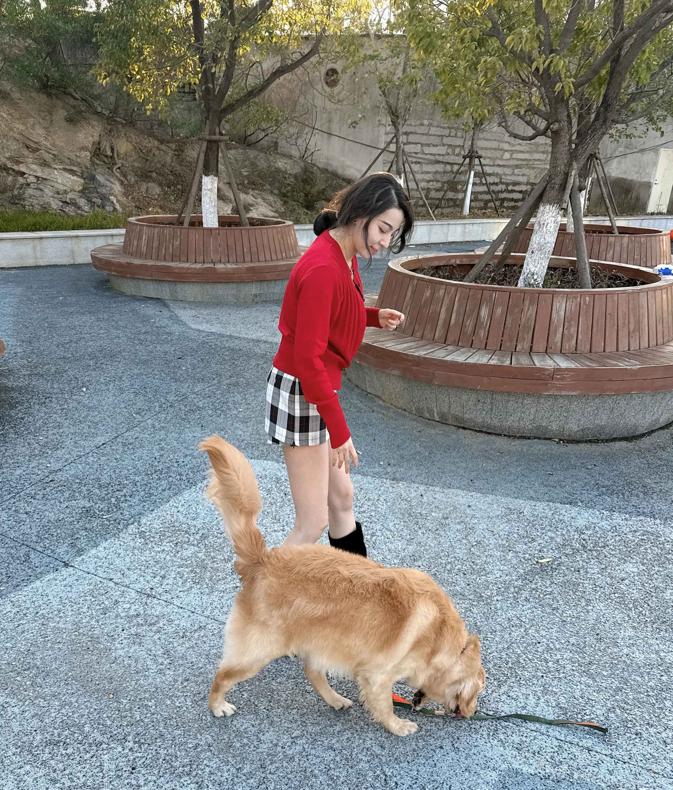 初夕。