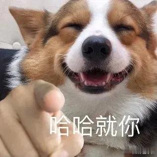 高考成绩 的你！金榜题名！高分上岸！ ​ ​​​