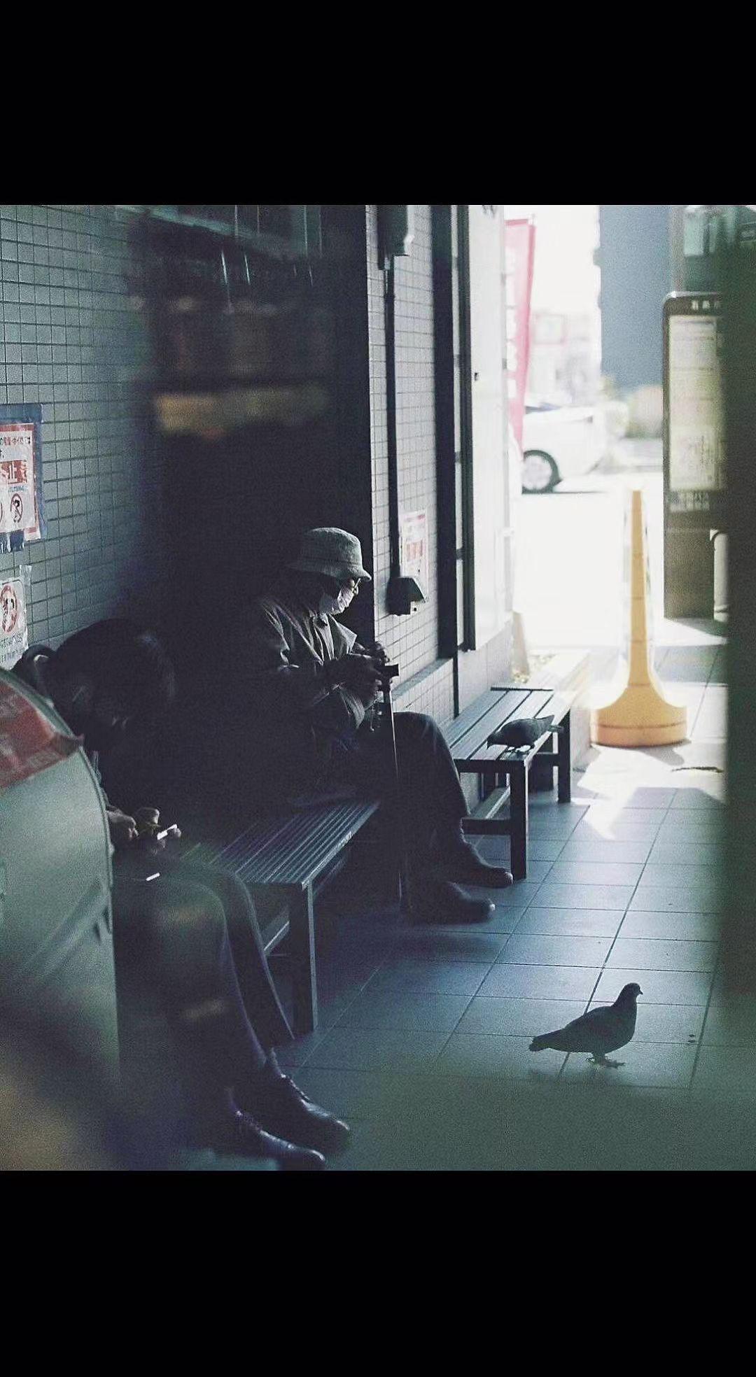 🕊️光影把长椅切成两半，一半旧时光打盹，一半鸽子踱着方步。孤独是城市的默片，每