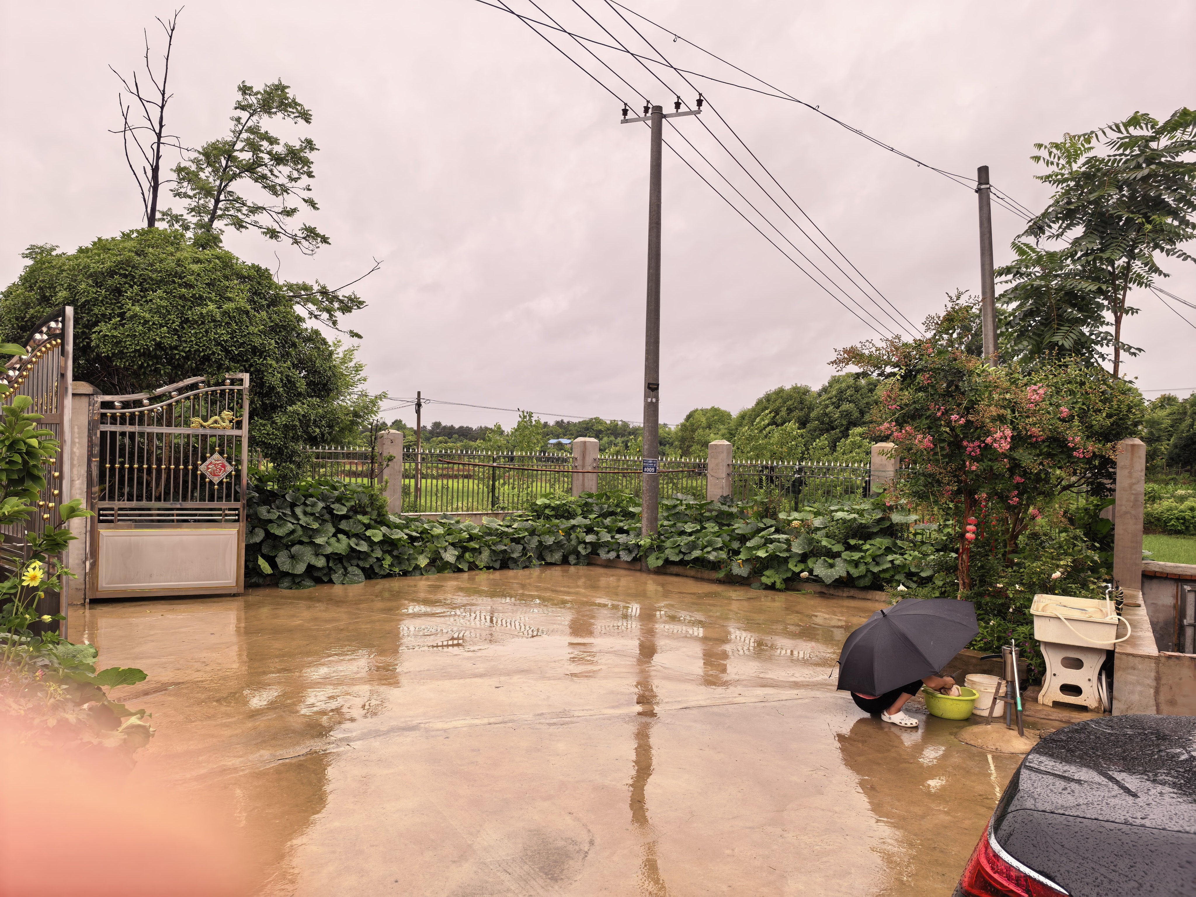 今天回老家了    雨后的小院格外清爽…… 今天雨一直没有停，这才是端午节感觉！